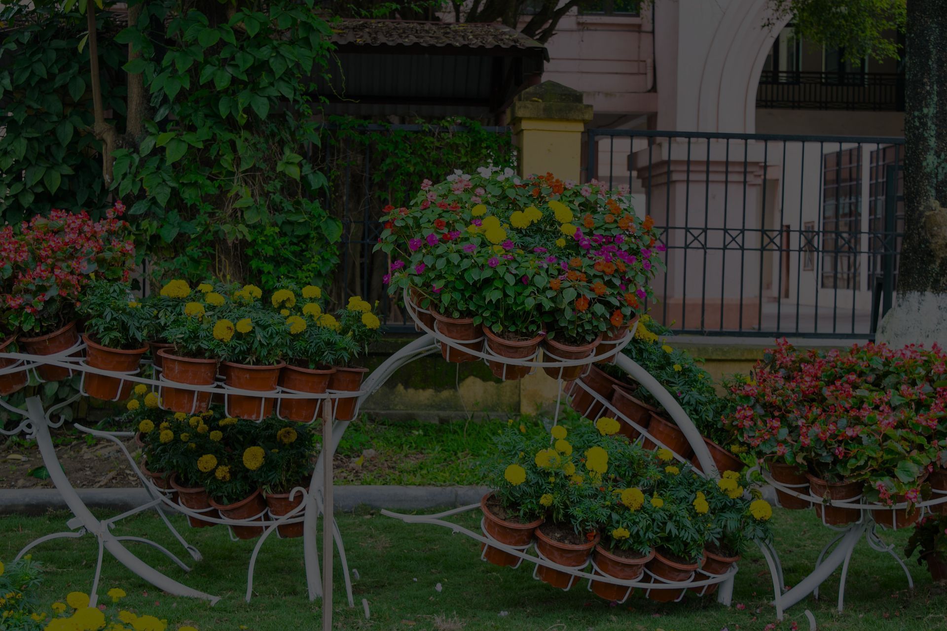 gallery/garden-721923_1920 (1)